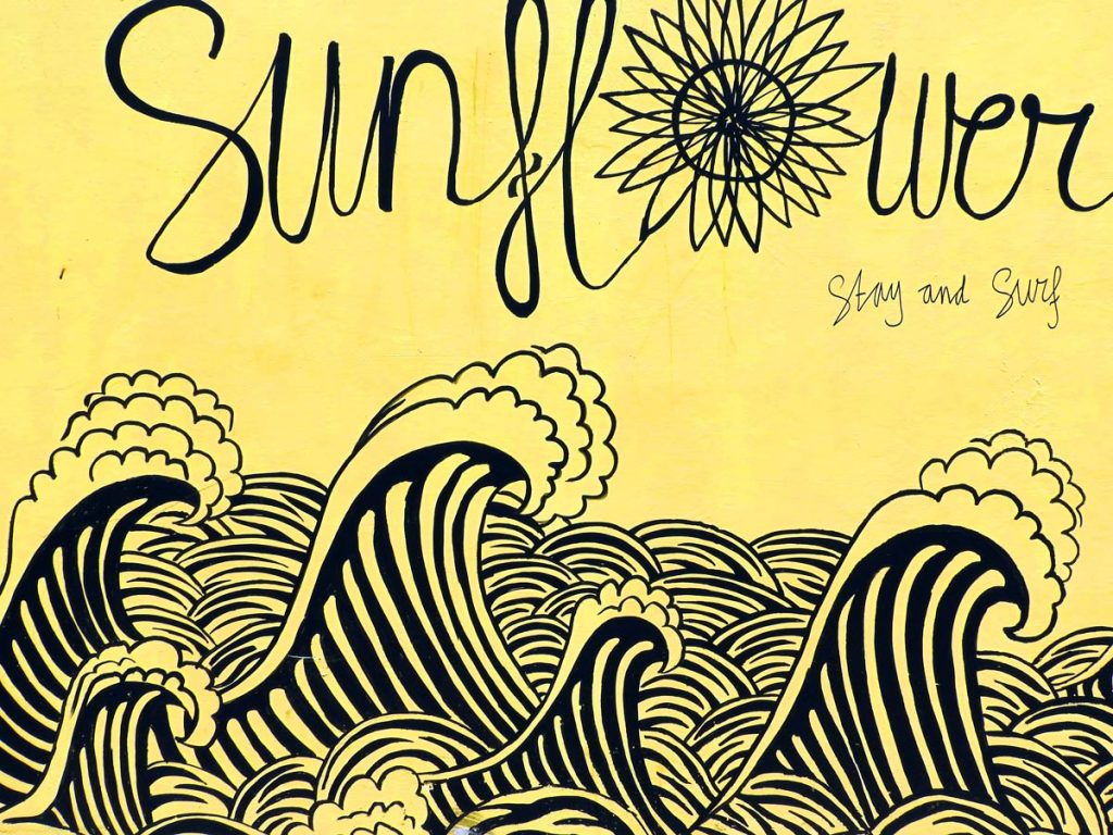 Sunflower Stay and Surf Accommodation in Canggu, Bali