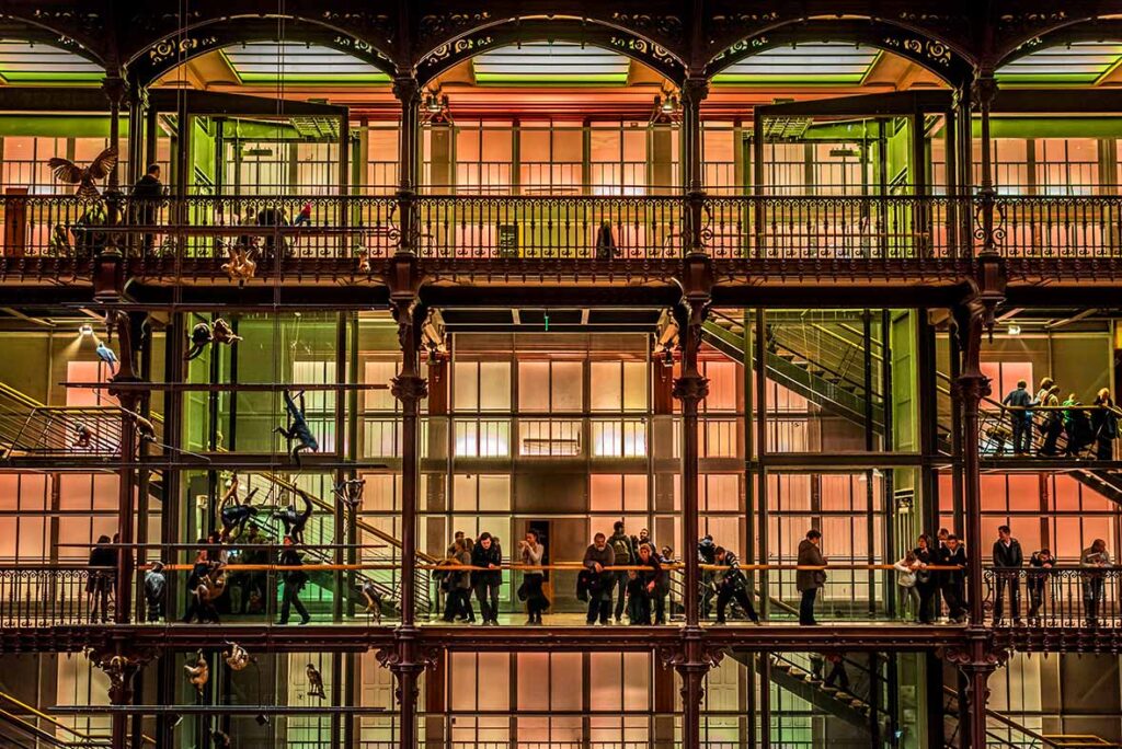 what to see in paris natural history museum