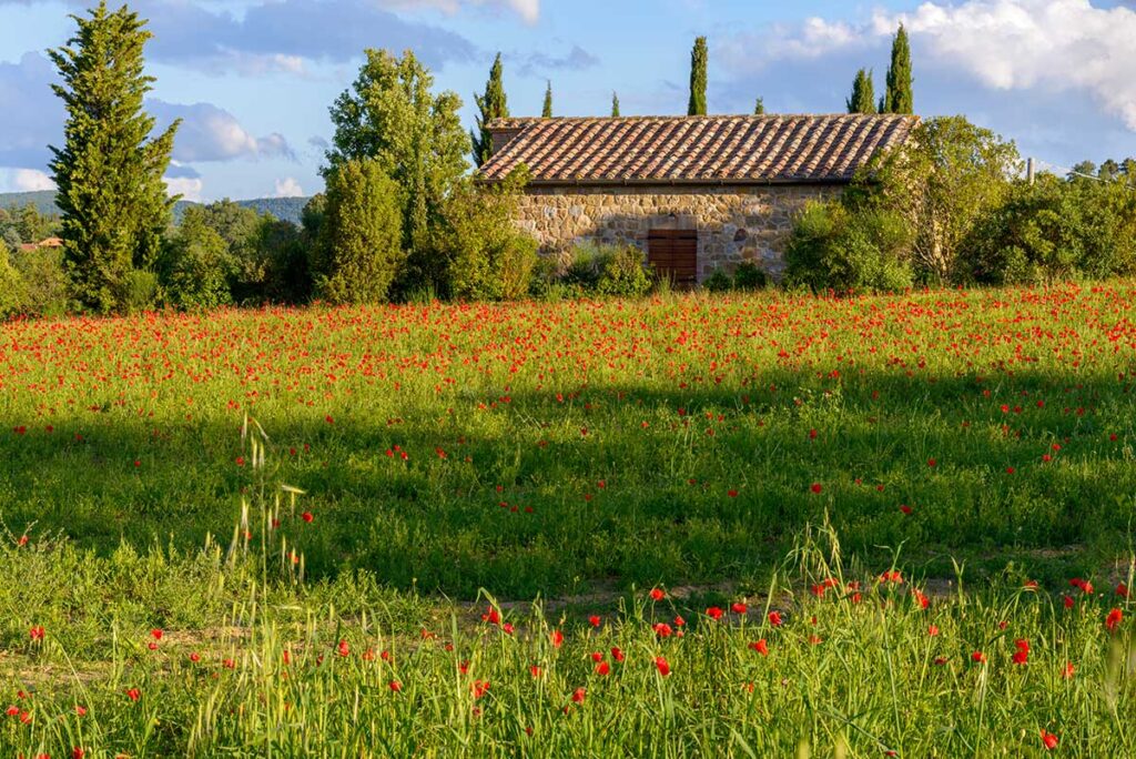 Hotels in the Luberon Near Aix en Provence