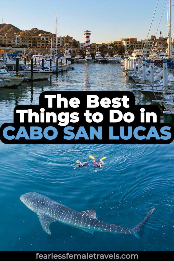 The best things to do in Cabo San Lucas, Los Cabos, Mexico, including swimming with whale sharks, exploring the Cabo San Lucas marina, sunset cruising and more!
