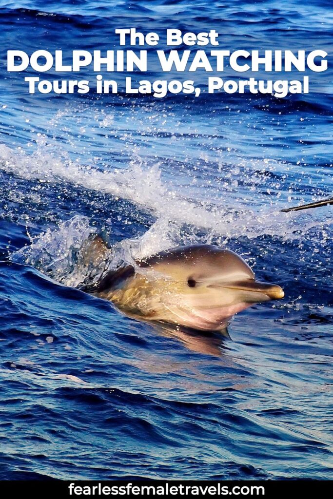 What is the best dolphin watching tour in Lagos, Portugal?