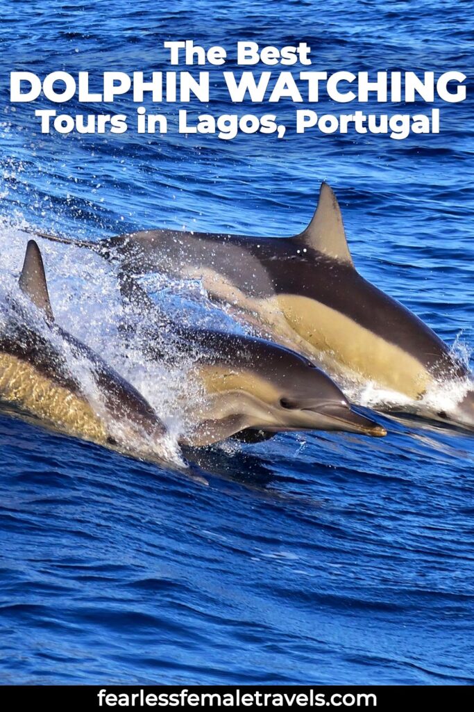 These are the best dolphin watching tours in Lagos, Portugal, including catamaran cruises with swimming and snorkeling, Benagil Cave tours and a high-speed zodiac boat excursion. 