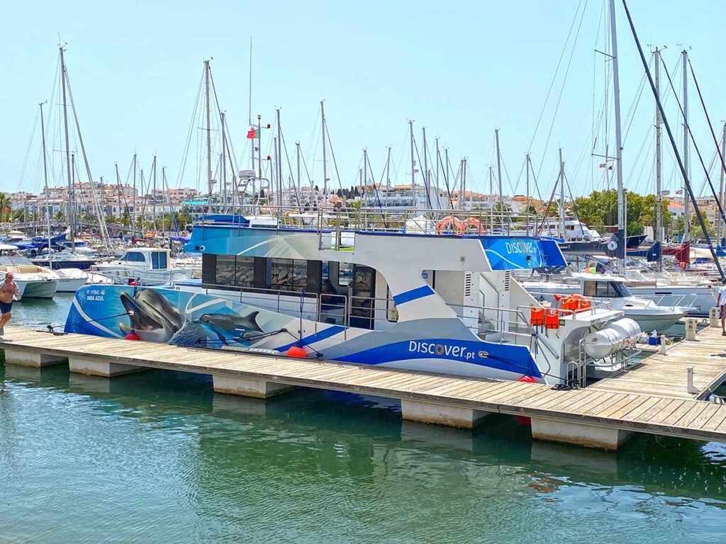 best dolphin watching cruise tour in lagos portugal