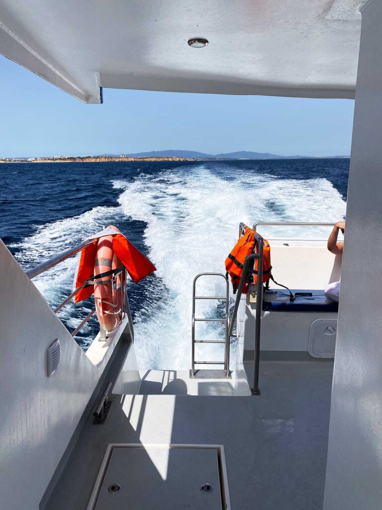 On Board the Dolphin Watching Tour in Lagos Portugal