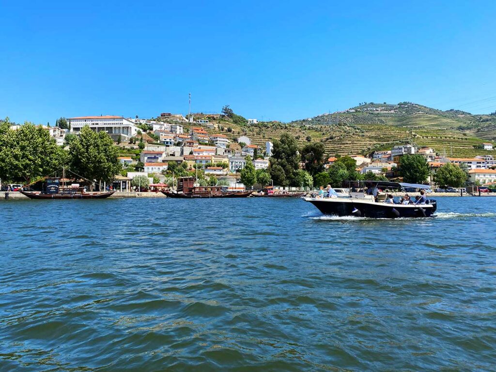 Douro Valley Tour Wine Tasting Cruise Review
