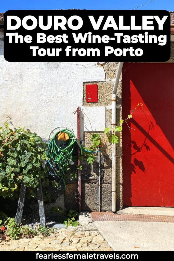 Love wine? Don't miss this Douro Valley tour from Porto that visits local wineries and takes you on a private river cruise!