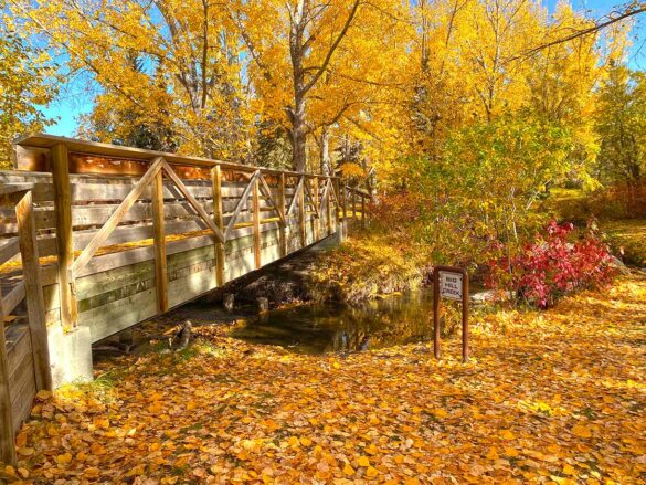 The Best Things to Do in Cochrane, Alberta, Canada