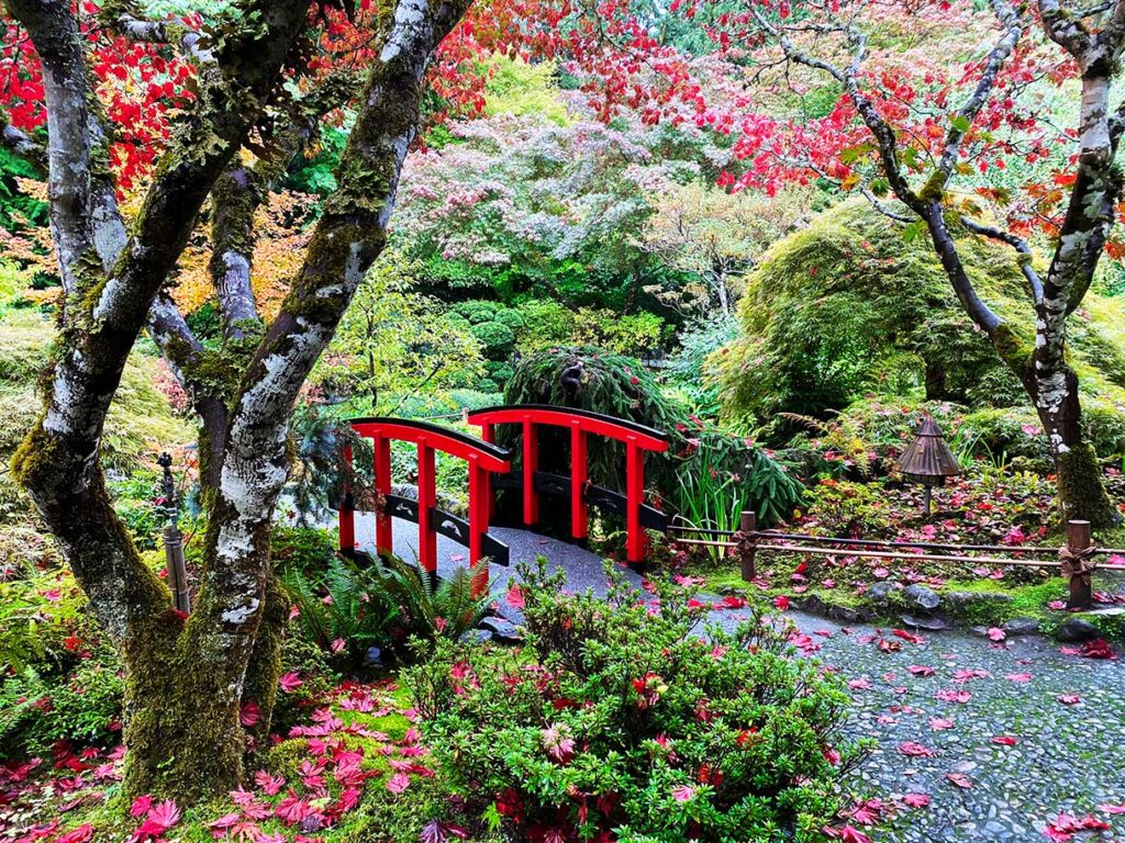 Butchart Gardens Japanese Gardens in Fall