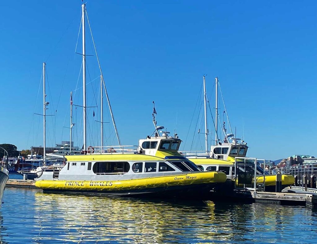 Covered whale-watching boat in Victoria BC Canada