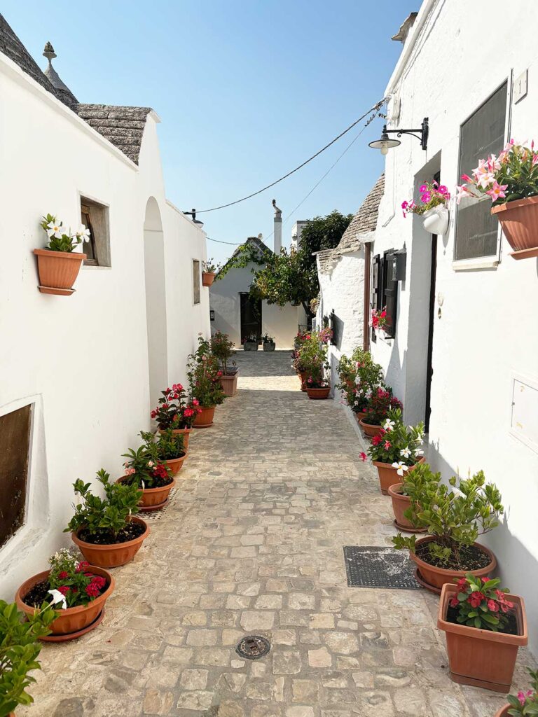 Trullo with Flowers in Alberobello Italy