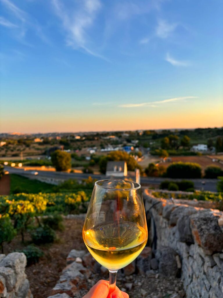 Wine Tasting in Puglia Italy