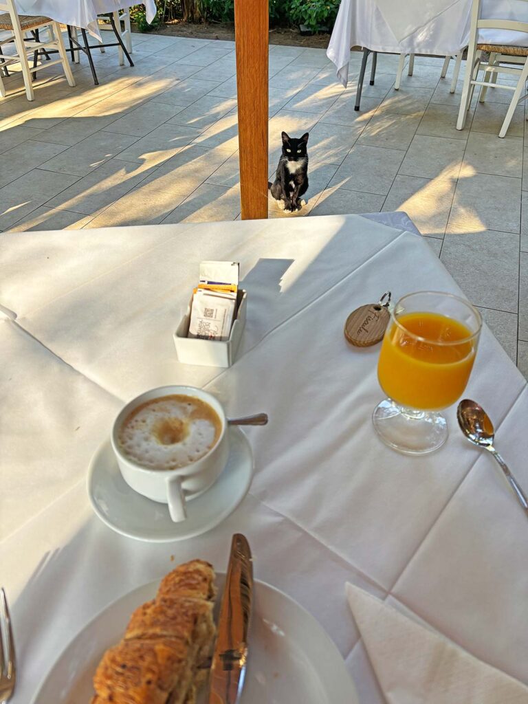 Breakfast at a Masseria in Puglia