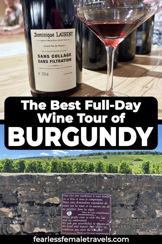 The Best Full-Day Wine Tour from Beaune to Burgundy
