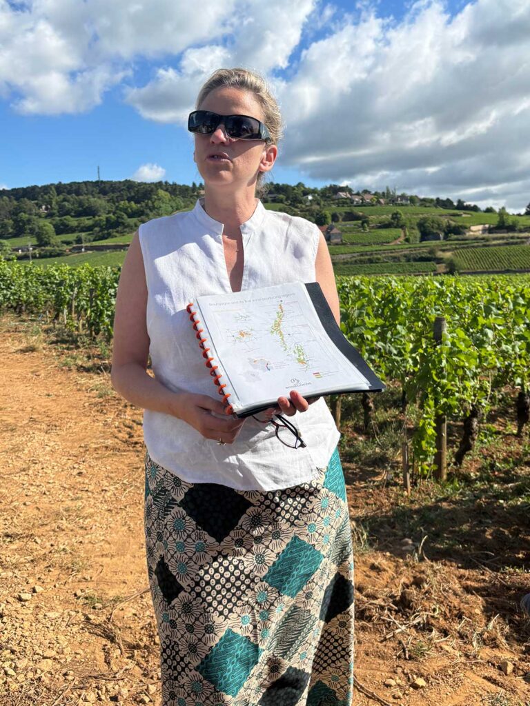 Tour Guide on a Burgundy Wine Tour from Beaune