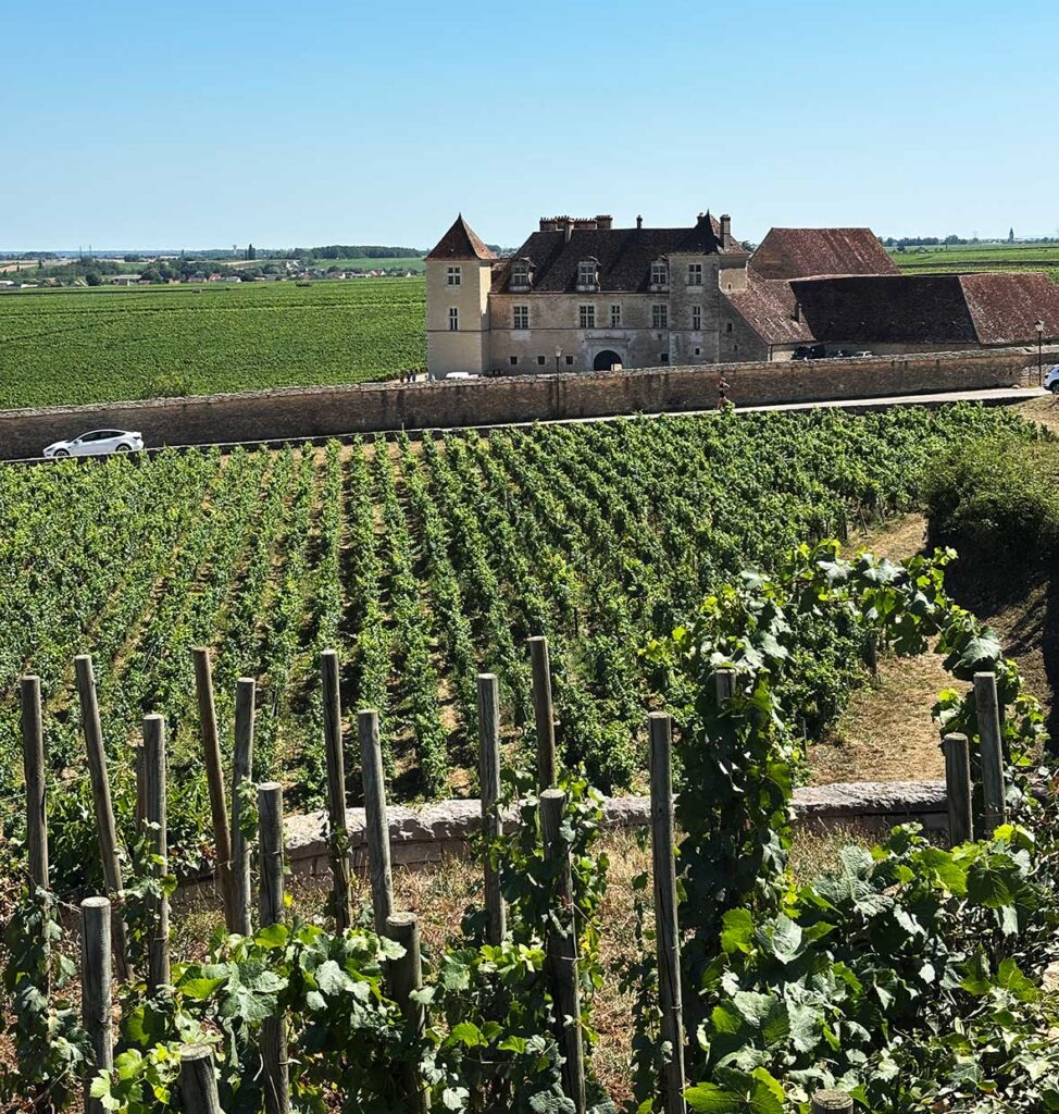 Chateau de Clos to Vougeot on a Full-Day Wine Tour from Beaune to Burgundy 