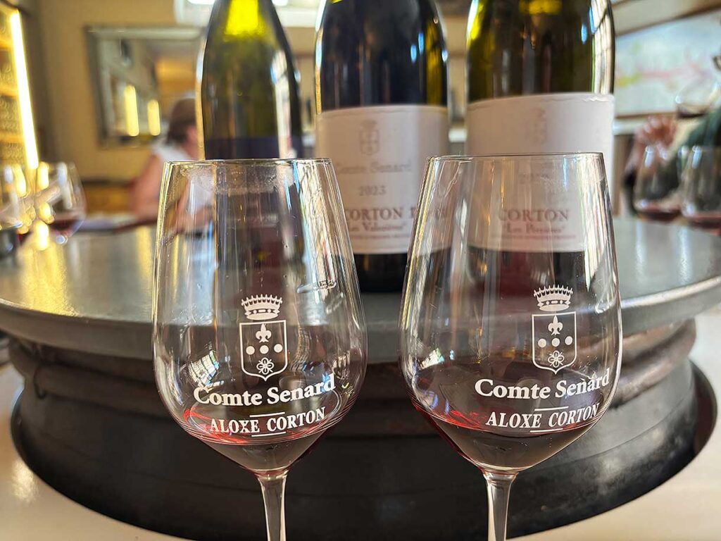 Tasting Grand Cru and Premier Cru Wines on a Tour from Beaune to Burgundy