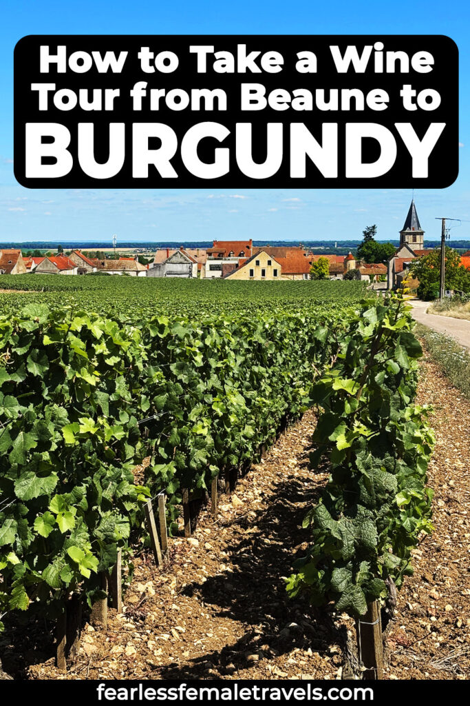 How to Take a Beaune Wine Tour to the Burgundy Region