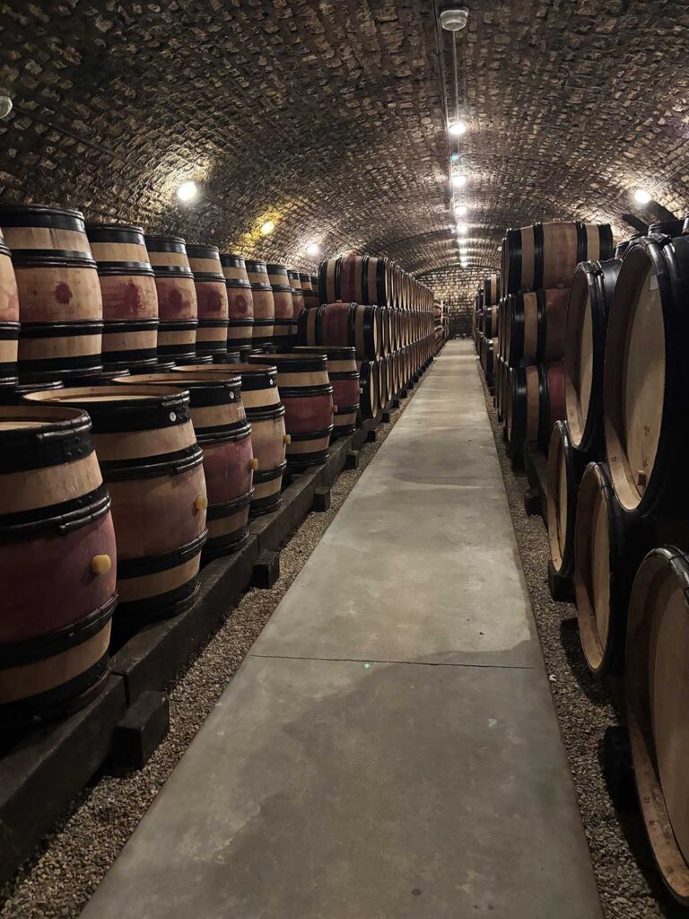Historic Oak Wine Barrels in a Negociant in Nuits Saint Georges France