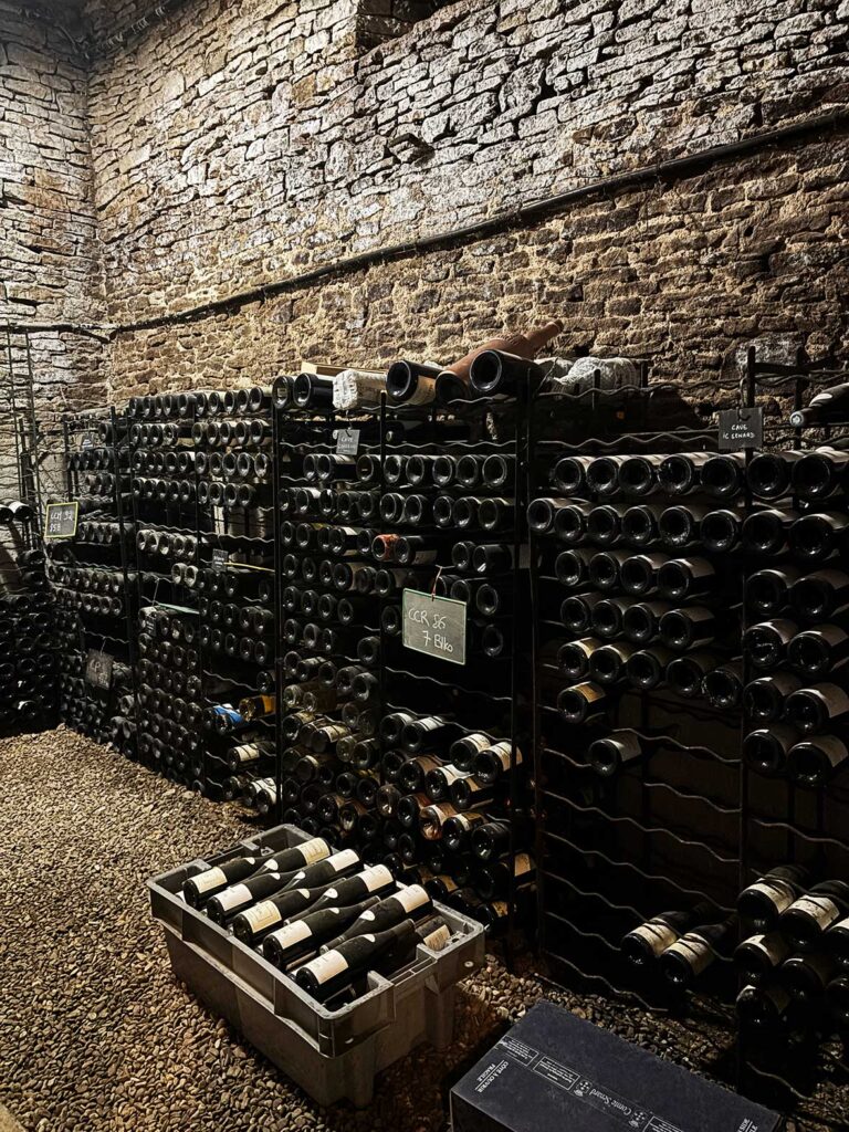 Wine Cellar Visit at a Family-Owned Vineyard in Aloxe-Corton on a Wine Tour from Beaune