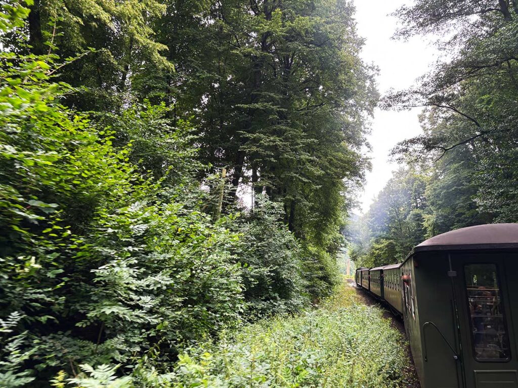 Riding the Zittauer Schmalspurbahn Steam Train Through the Forest in Saxony Germany