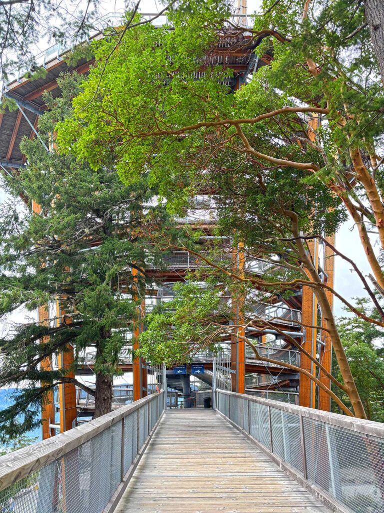 Approaching the Viewing Tower at the Malahat Skywalk in British Columbia