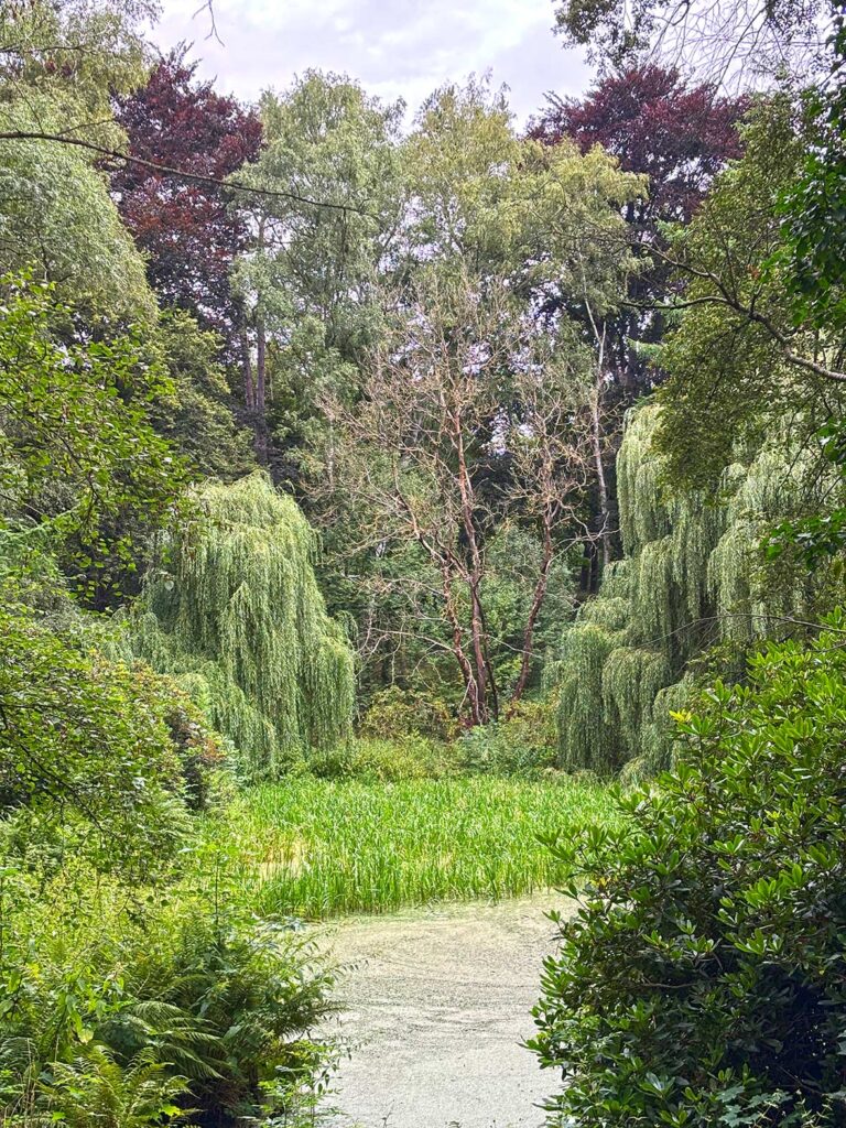 Ölberggarten Park in Gorlitz, Sachsen, Germany