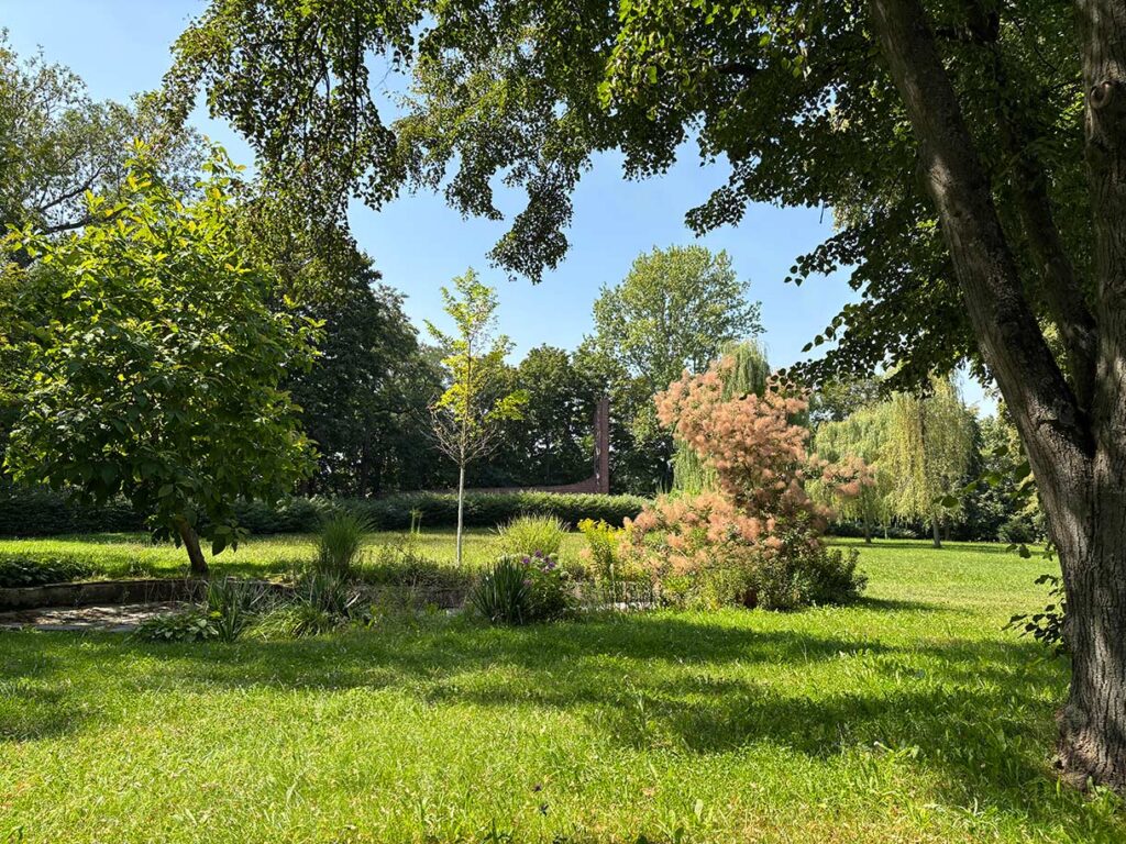 Green Space in Schillerpark, Glauchau, Germany