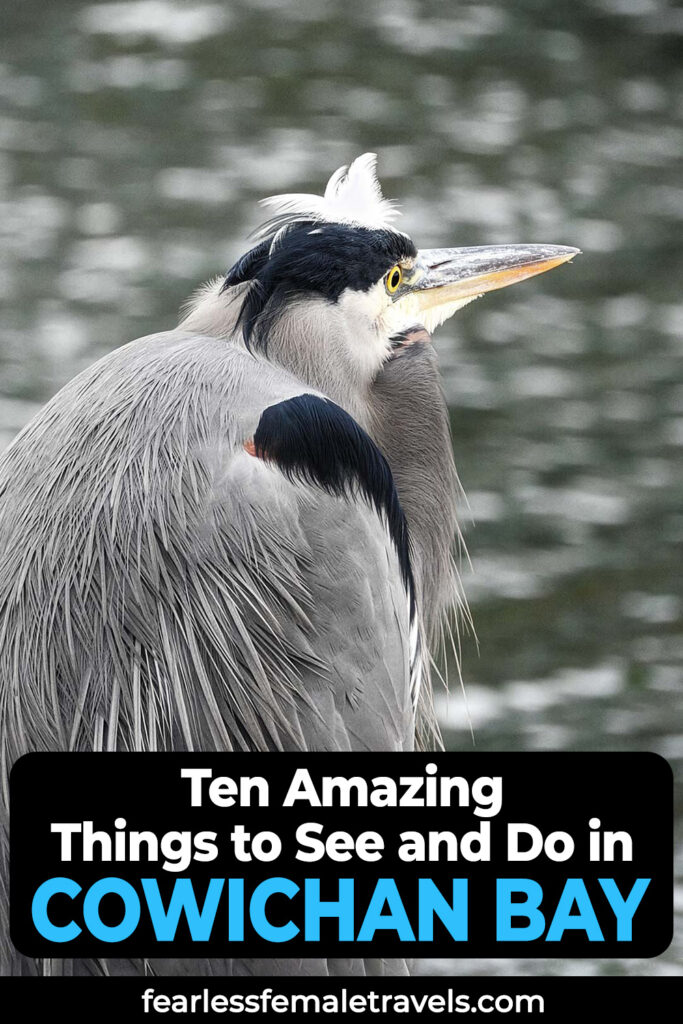 Ten Things to Do in Cowichan Bay on Vancouver Island in British Columbia, Canada