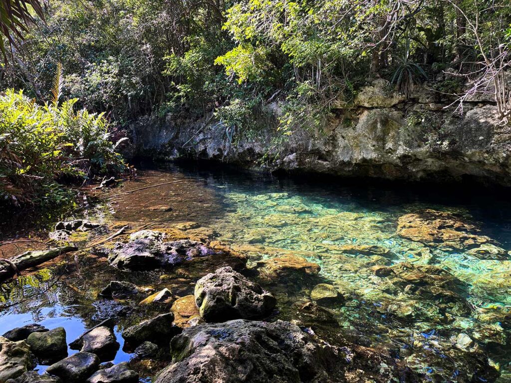 Bejil-Ha Cenote Tour on the Riviera Maya Mexico