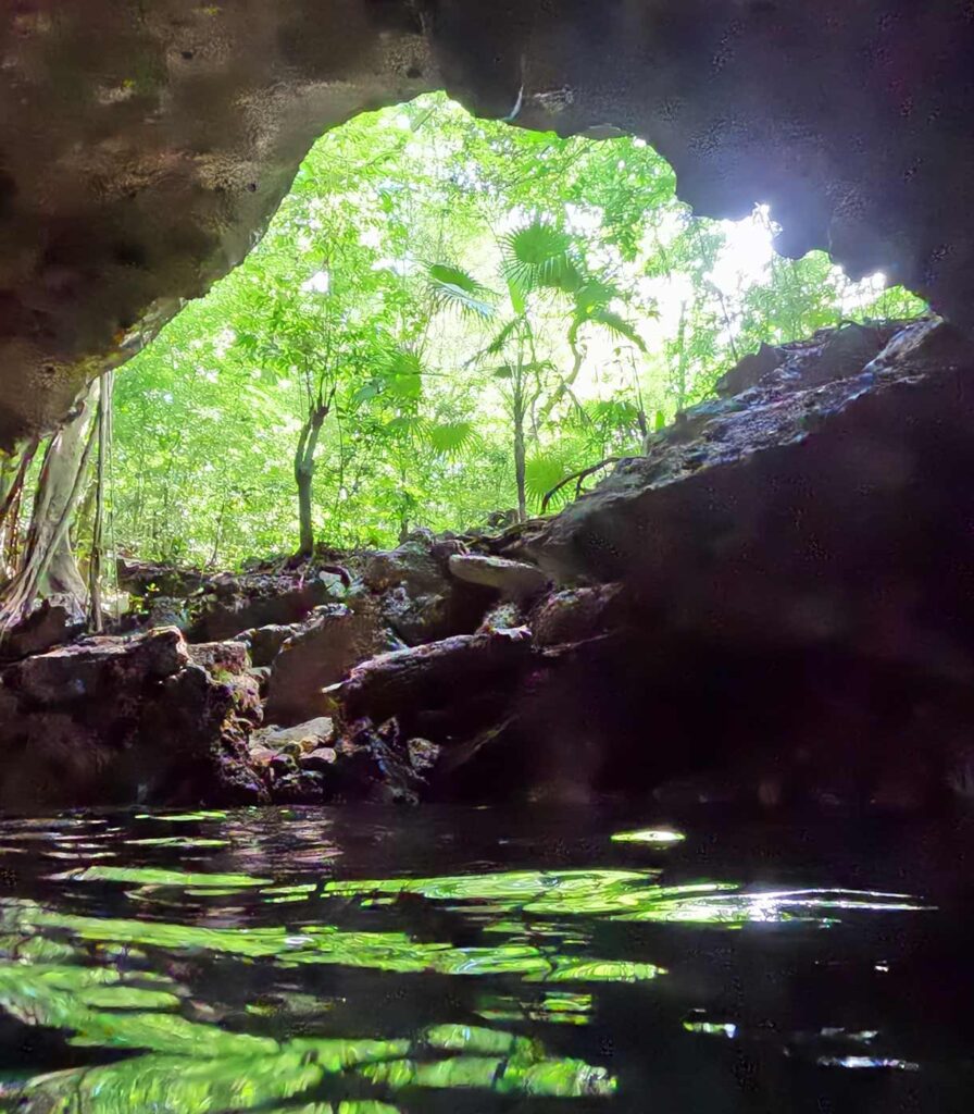 View from an Underground Cenote on the Riviera Maya in Mexico