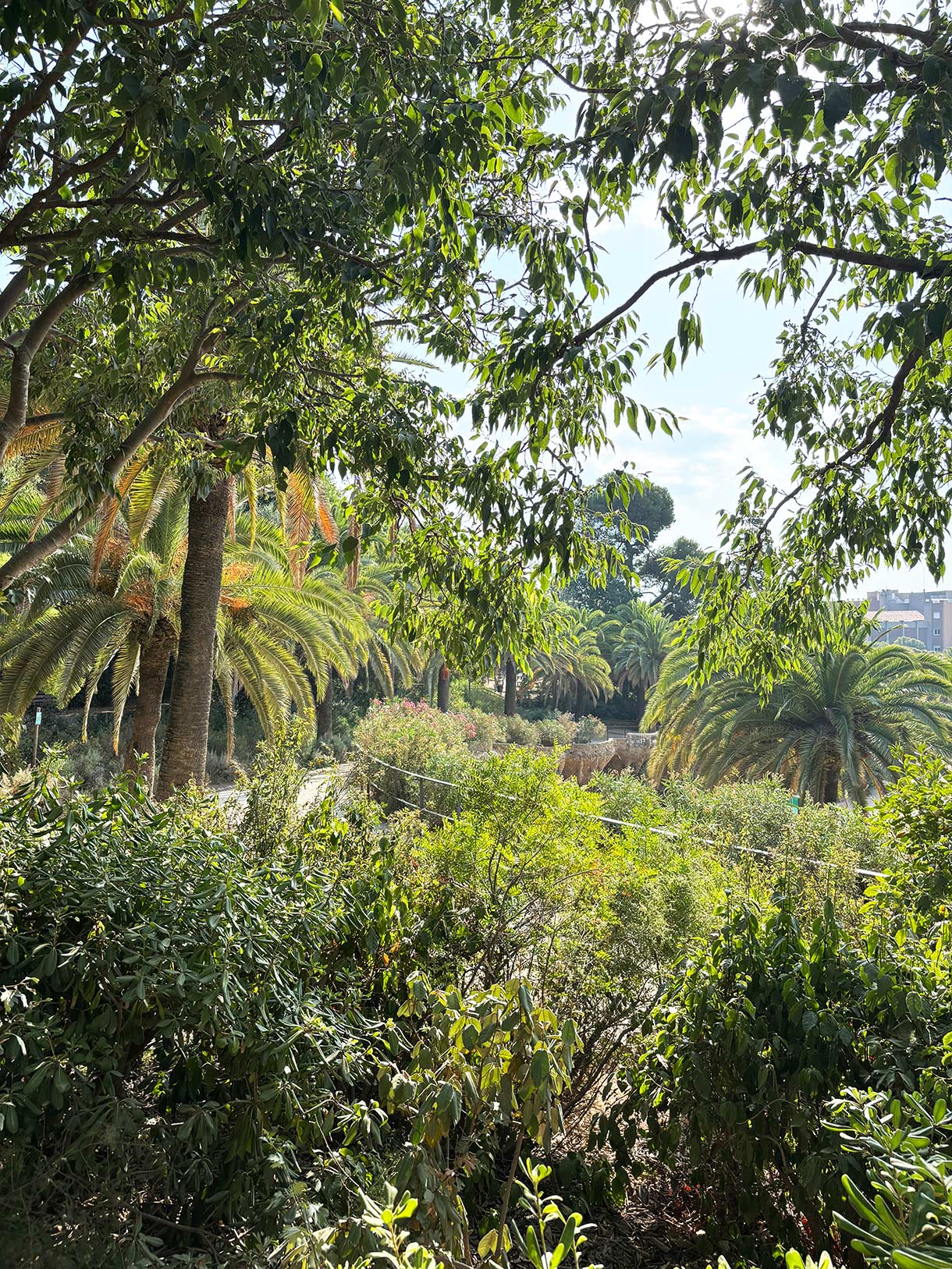 Austria Gardens in Parc Guell, Barcelona, Spain
