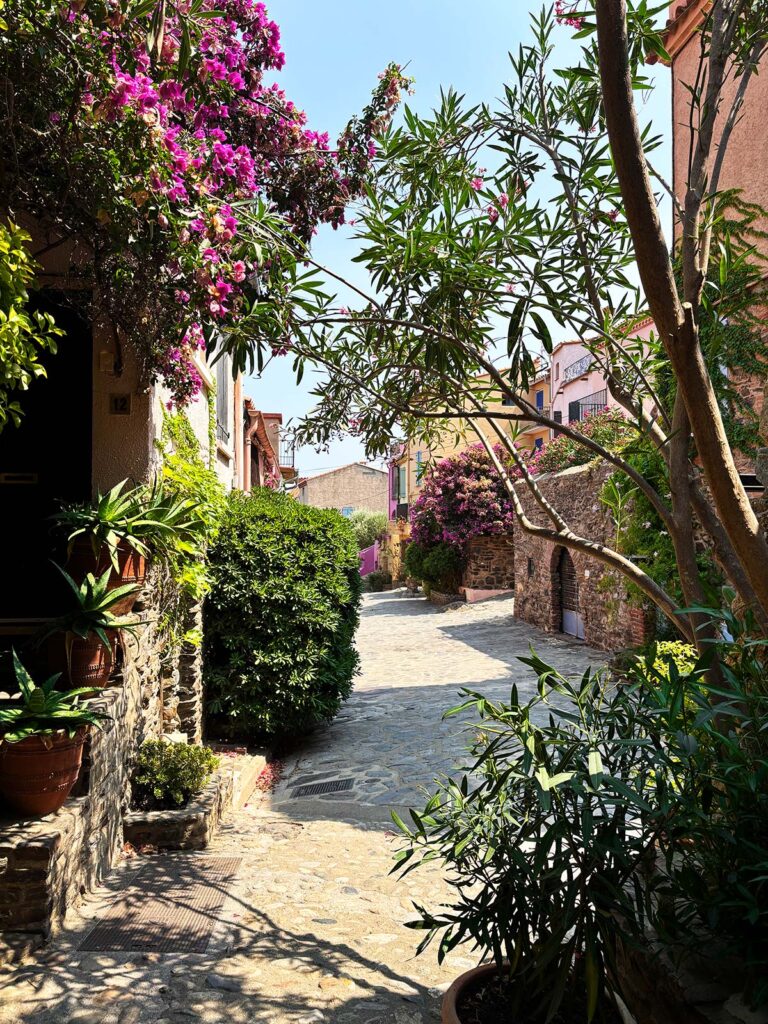 Strolling Through the Historic Center of Collioure France