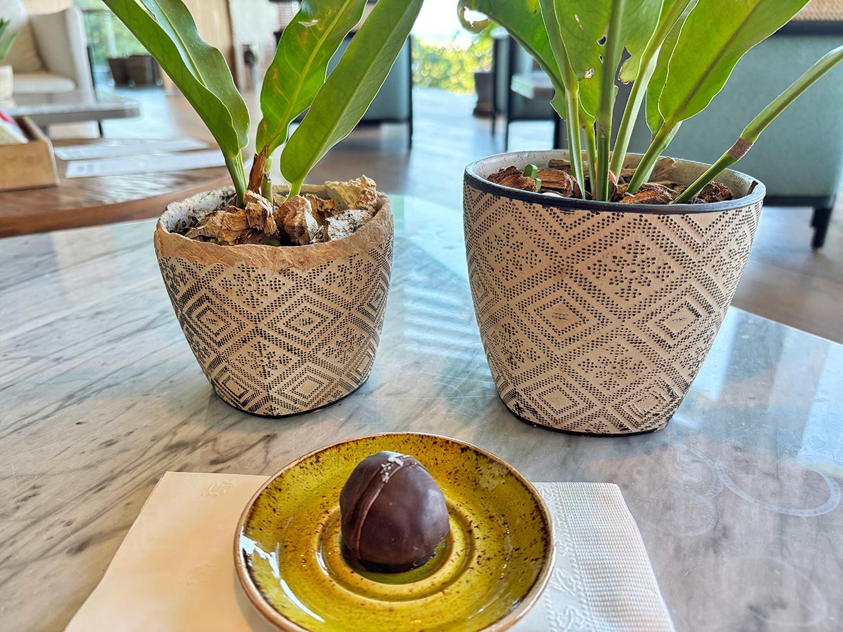 Date Truffle from Plantissa Restaurant at Palmaia the House of Aia