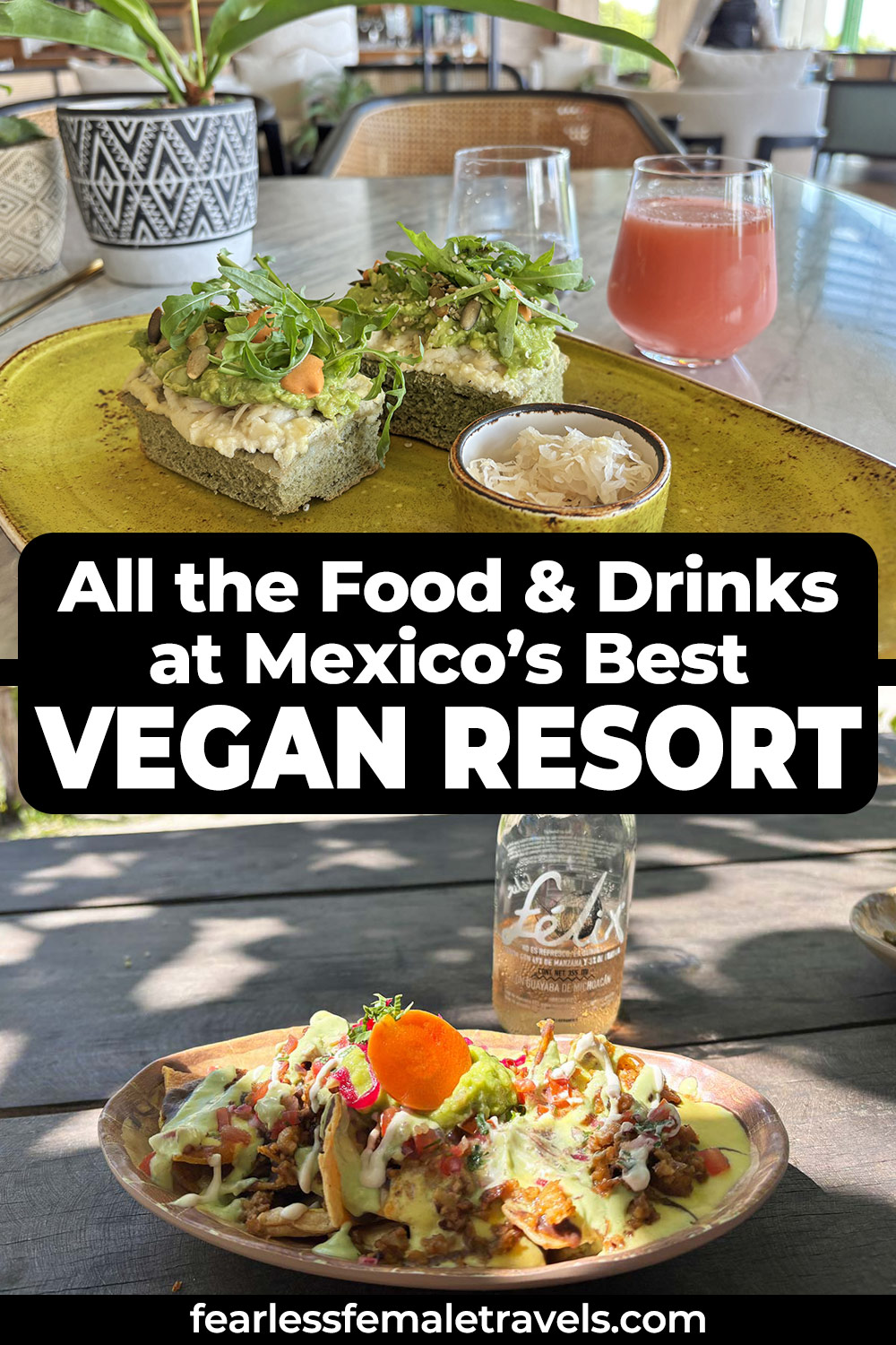 All of the Food and Drinks at Mexico's Best Vegan Resort - Palmaia The House of Aia